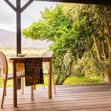 Springfontein River Lodge Stanford Extérieur photo