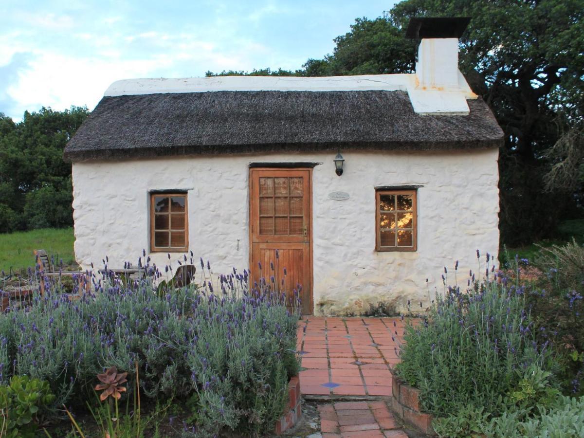 Springfontein River Lodge Stanford Extérieur photo