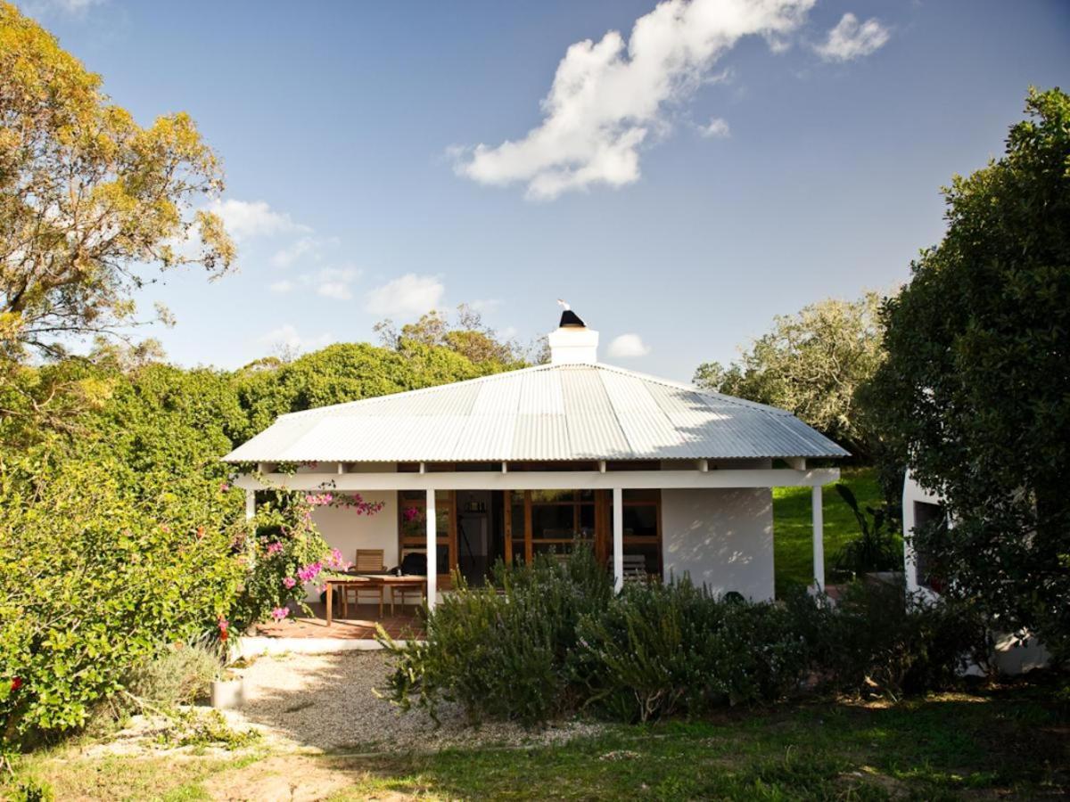Springfontein River Lodge Stanford Extérieur photo