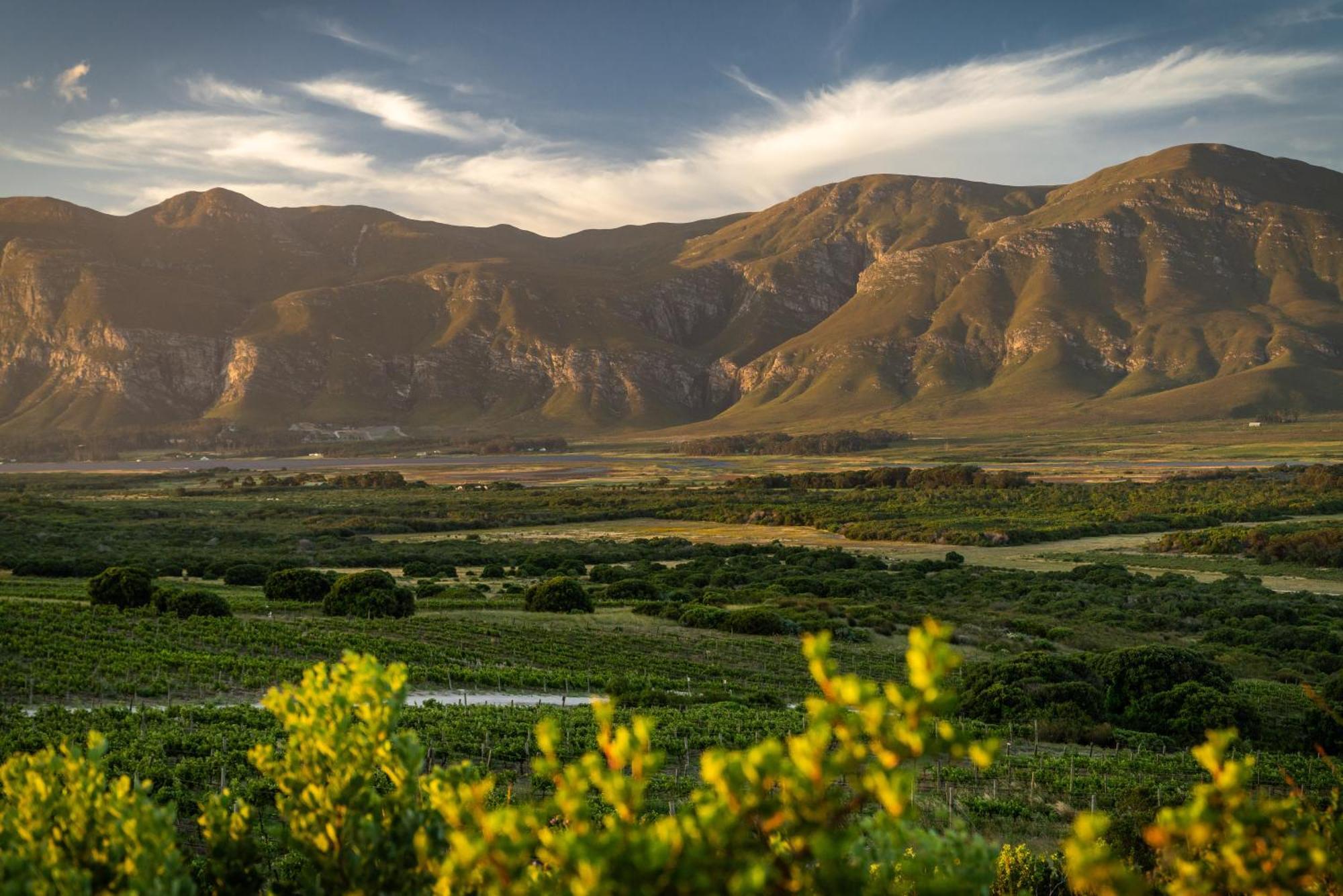 Springfontein River Lodge Stanford Extérieur photo