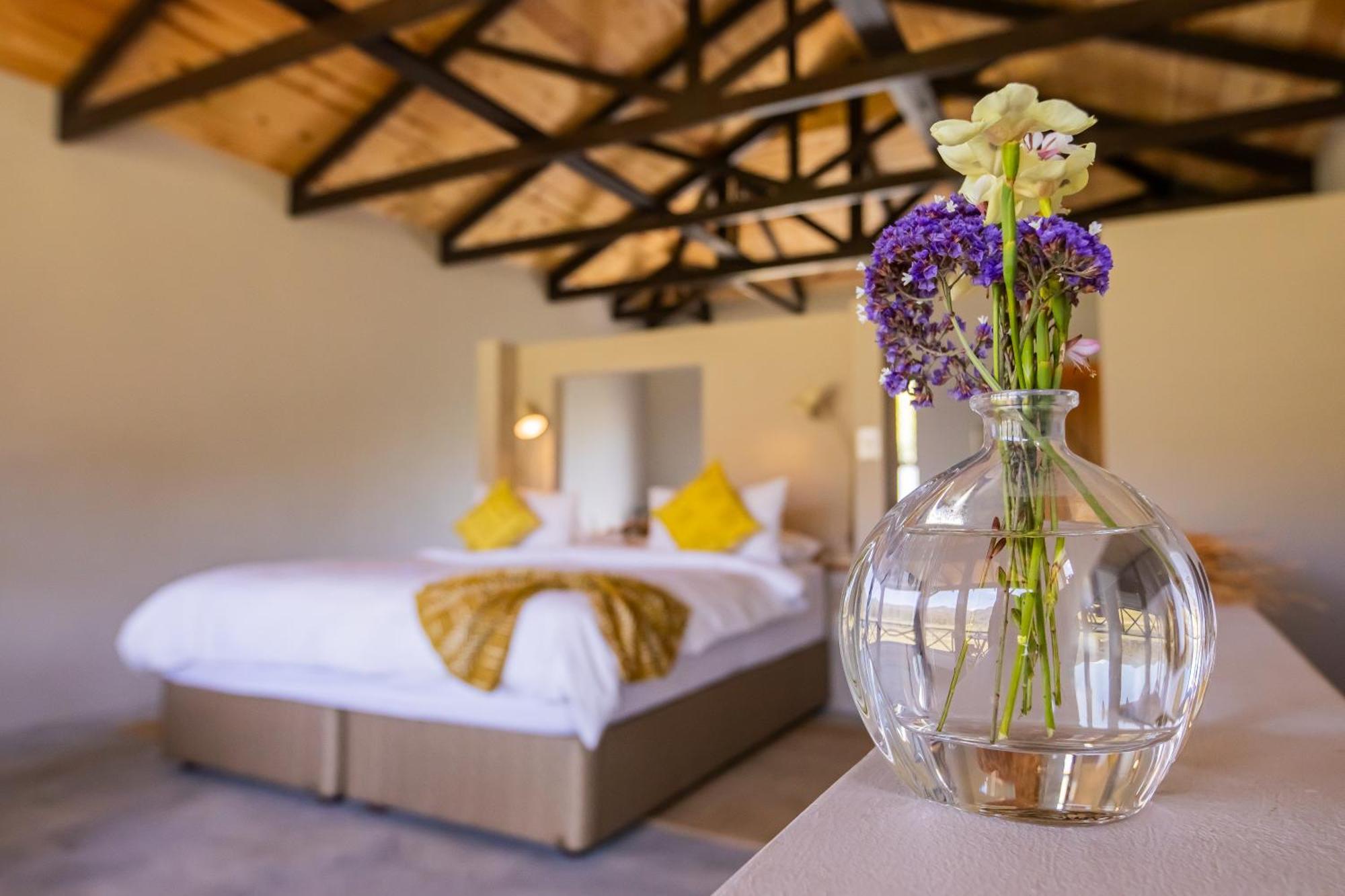 Springfontein River Lodge Stanford Extérieur photo