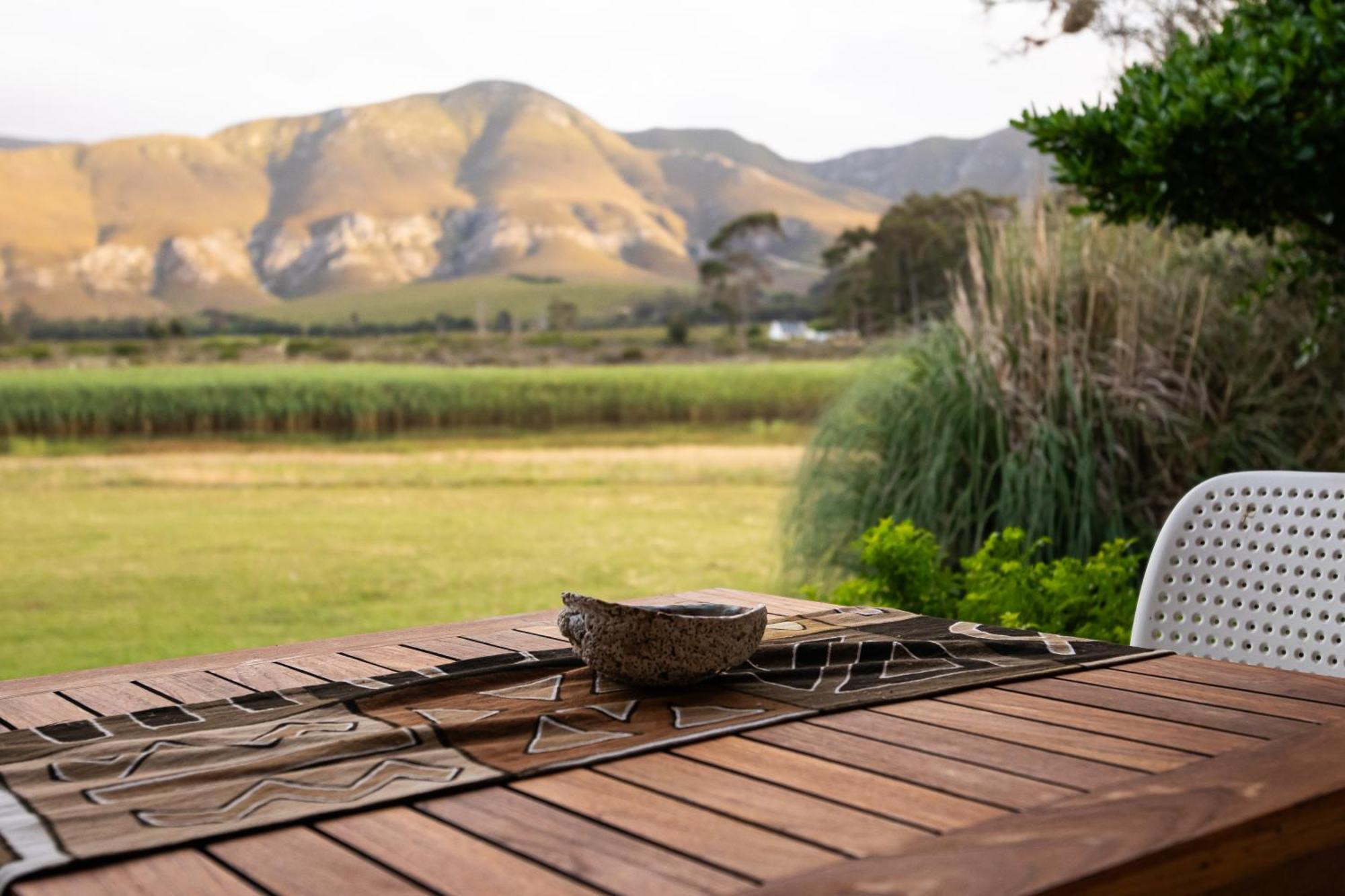 Springfontein River Lodge Stanford Extérieur photo