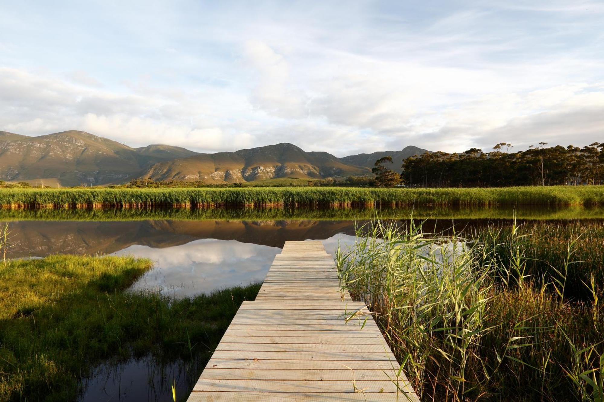 Springfontein River Lodge Stanford Extérieur photo